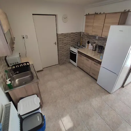 Artemis Vendeghaz * Bogacs